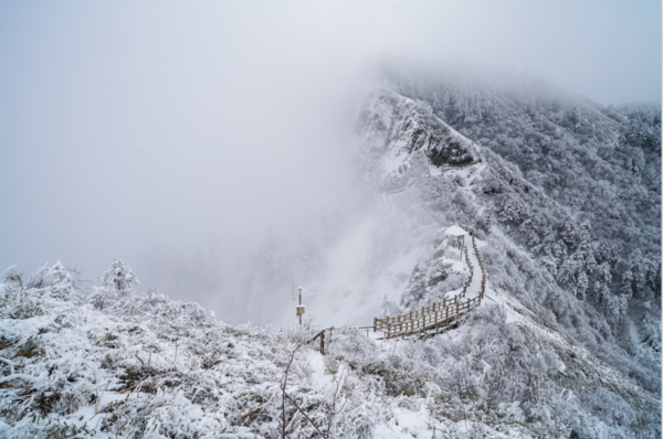 YIN YANG BOUNDARY IN WINTER