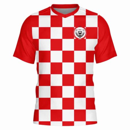 custom school soccer wear cheap and breathable boys and girls soccer jersey 12 LJY 02F 1