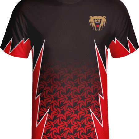 OEM Customized 100% Polyester Classic T-shirt . 12 LJY 11 F