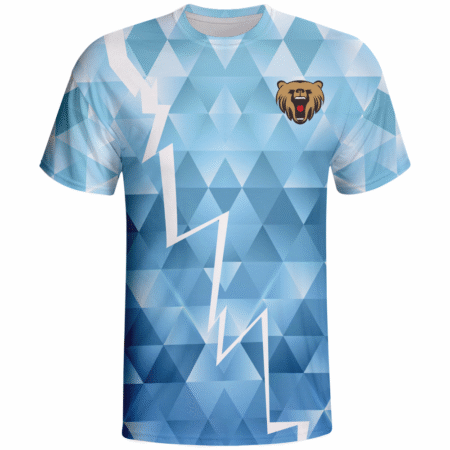 OEM Customized 100% Polyester Classic T-shirt With Cheap Price. 4 LJY 14 F 副本