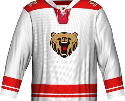 Custom OEM Ice Hockey Jersey for Sportswear Brand Collections with Size Set Support 5 Custom OEM Ice Hockey Jersey for Sportswear Brand Collections with Size Set Support