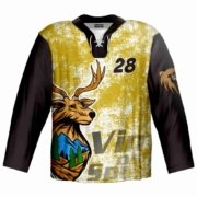 CUSTOM FASHION 2024 ICE-HOCKEY JERSEY SUBLIMATION FABRICS 4 hockey (8) for
