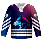 Custom Ice Hockey Jersey for Event Teamwear 7 ice hockey jersey (4)