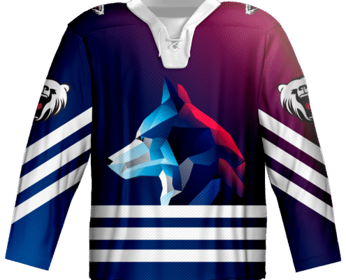Custom Training Ice Hockey Jersey for Academy Team Orders with Club Identity Details 2 Custom ice hockey jersey