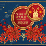 pngtree spring festival rabbit lunar new year 2023 festival happy new year picture image 1919689